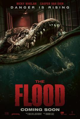 TheFlood