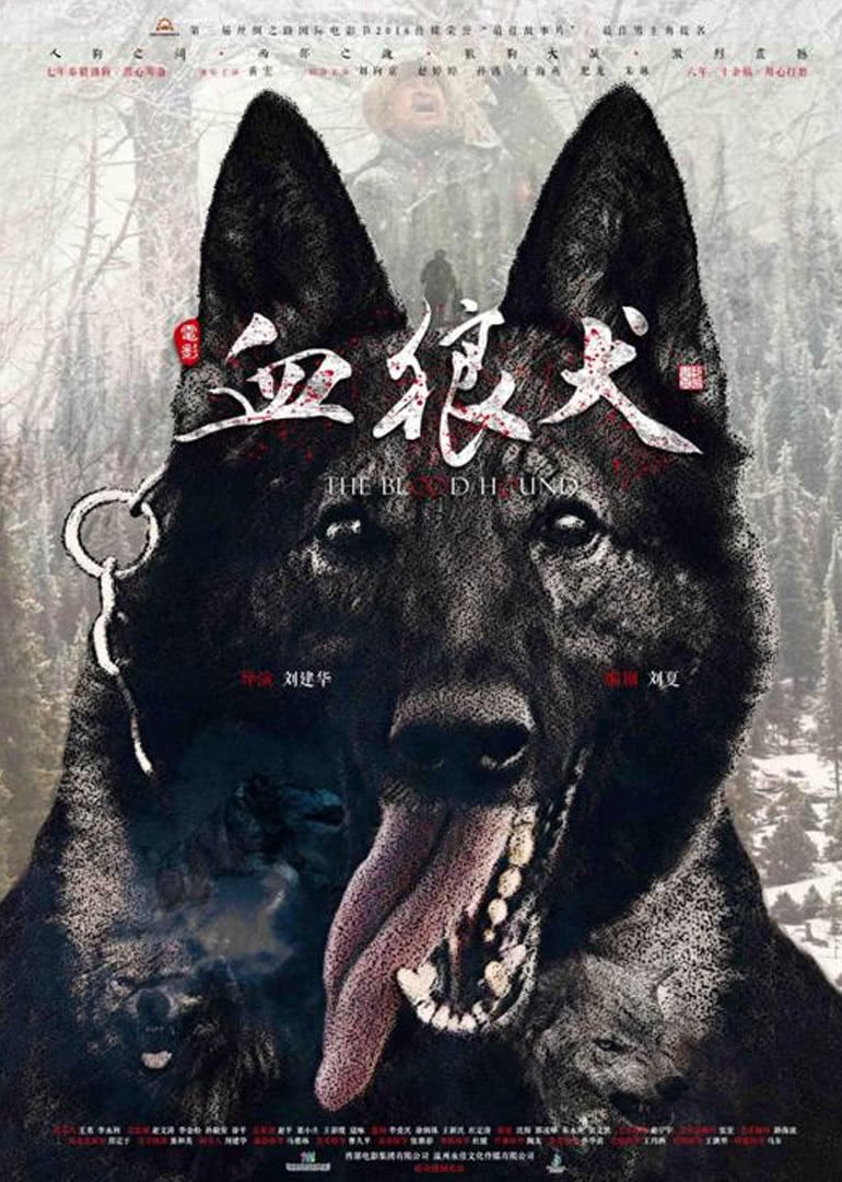 ѪȮ